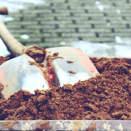 Arbeitseinsatz  